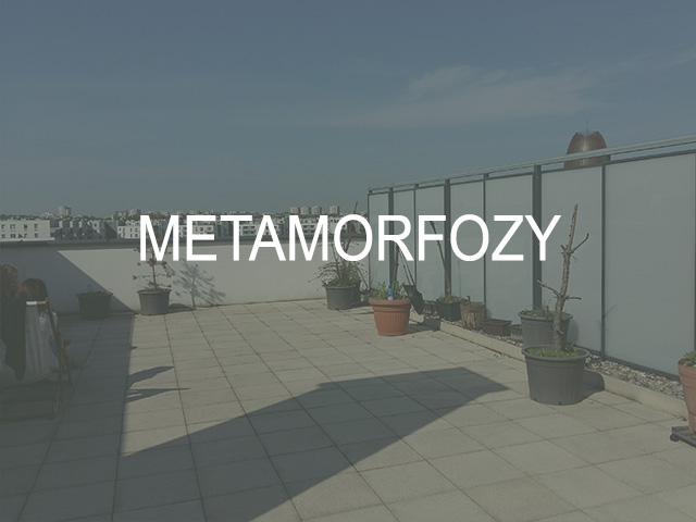 Metamorfozy tarasu